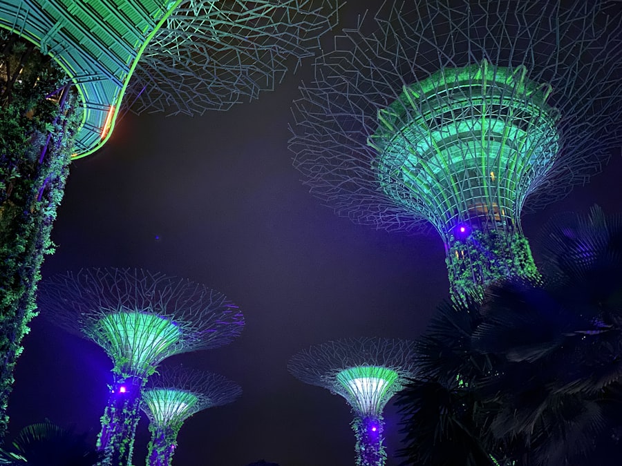 濱海灣花園超級樹夜景