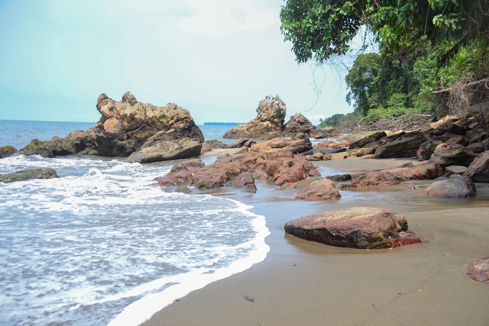 rock formation on seashore