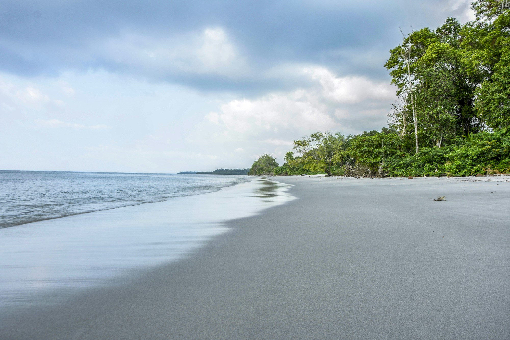 Exploring Gabon: A Comprehensive Travel Guide