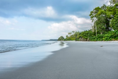 green trees near ocean during daytime gabon google meet background