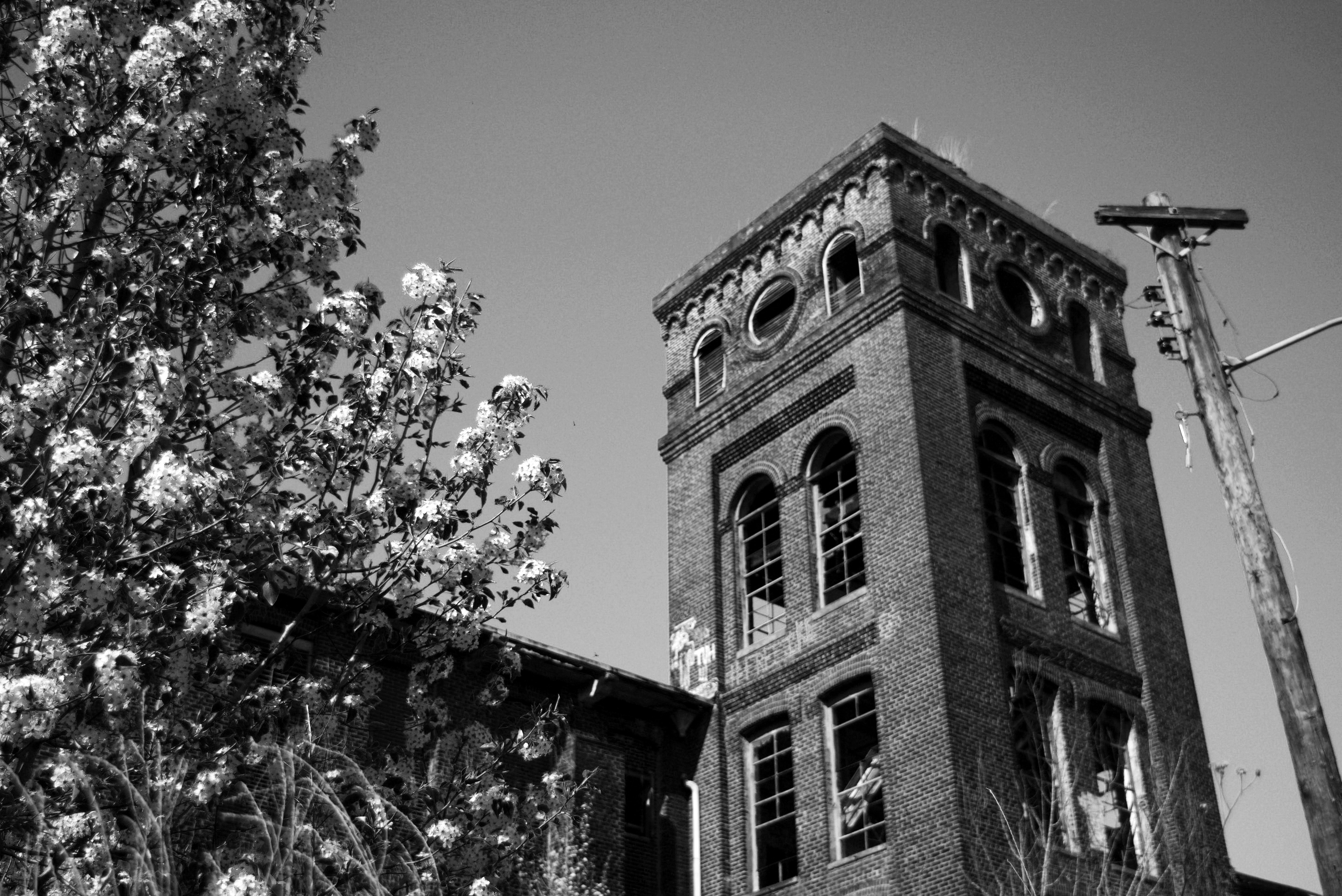 Photo by _albanese01