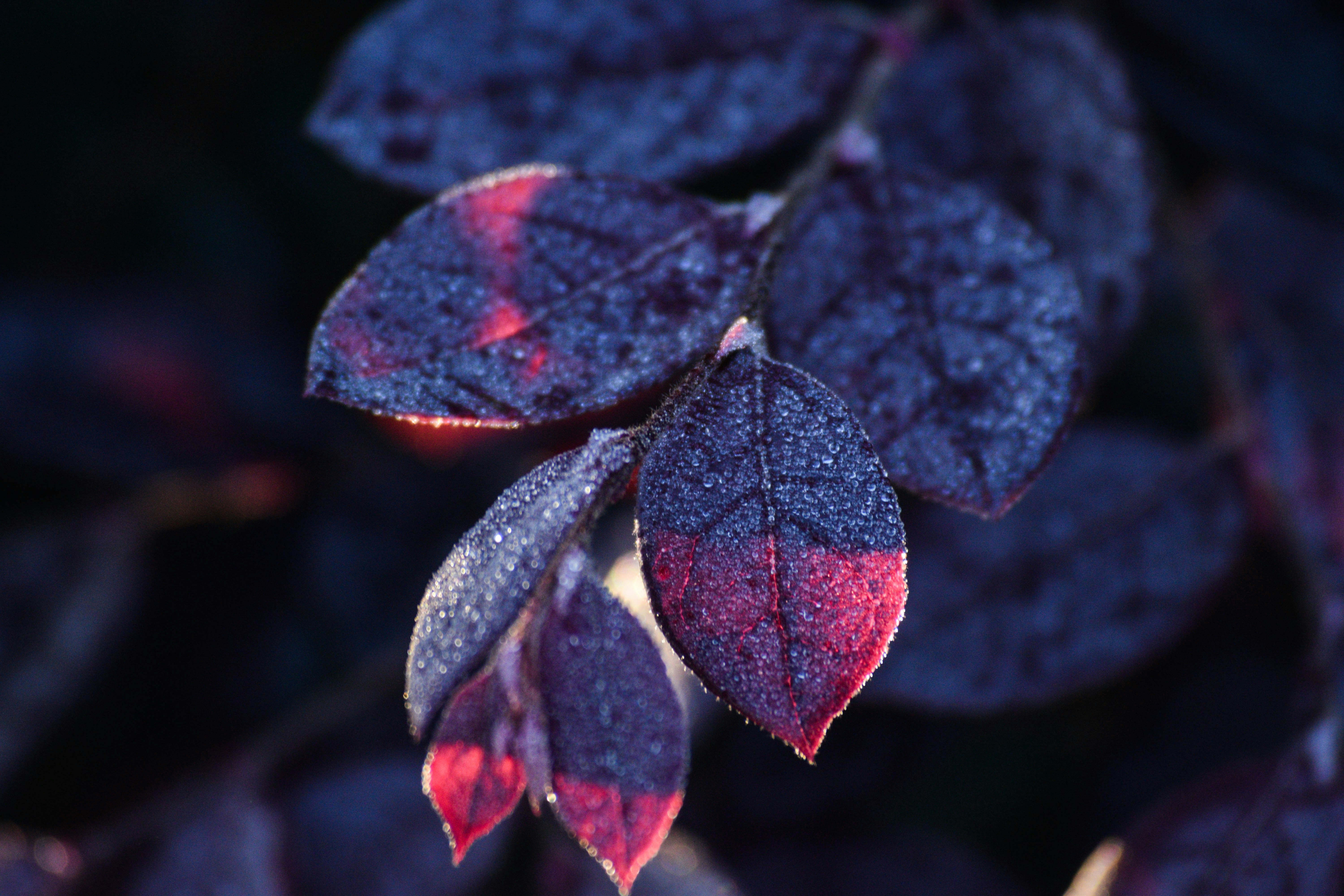 Photo by _albanese01