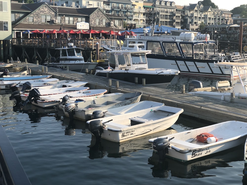 several boats beside dock