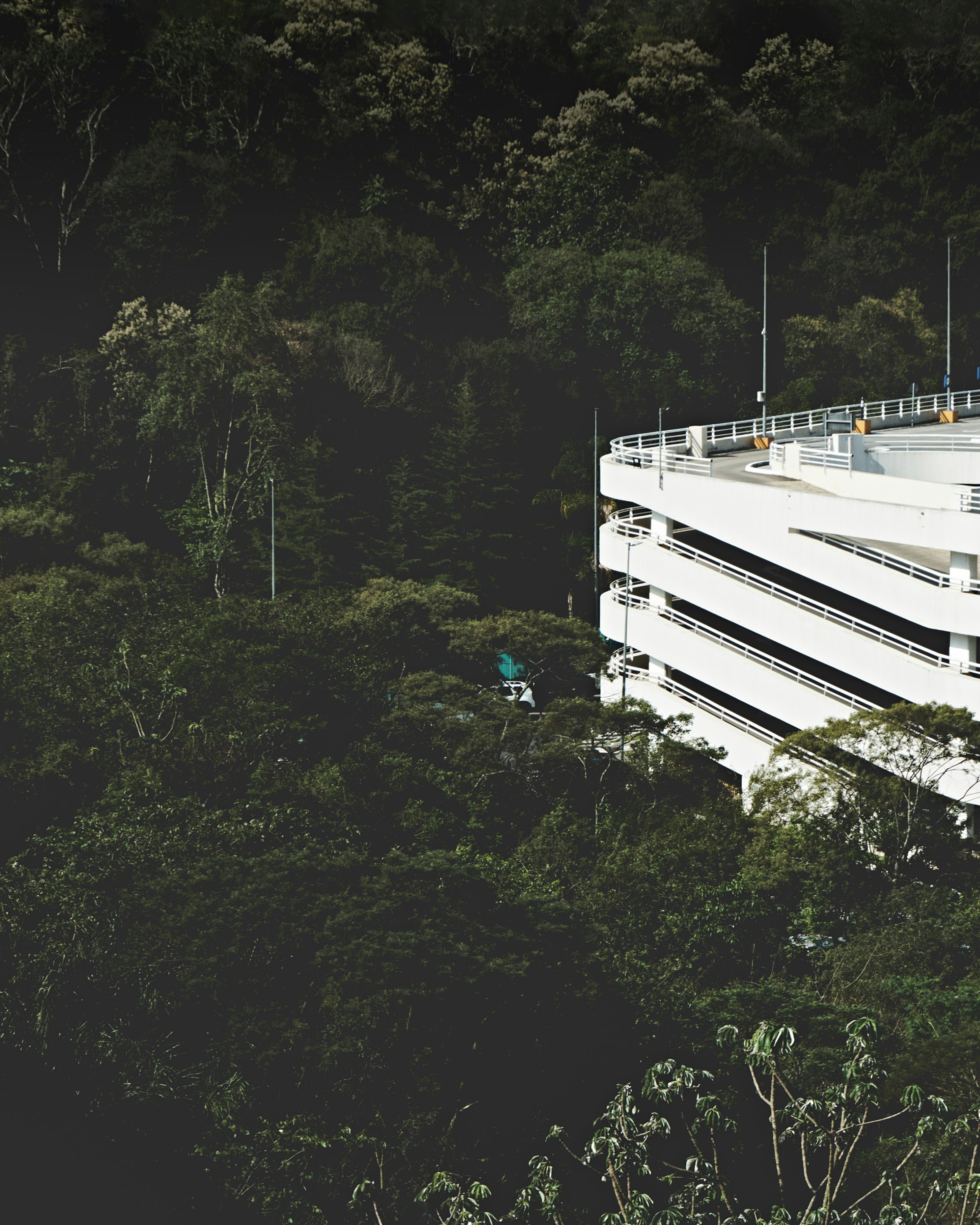 Bâtiment près de la forêt