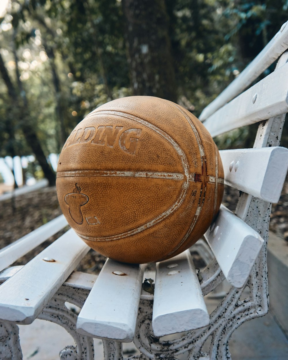 Spalding Basketball auf der Bank