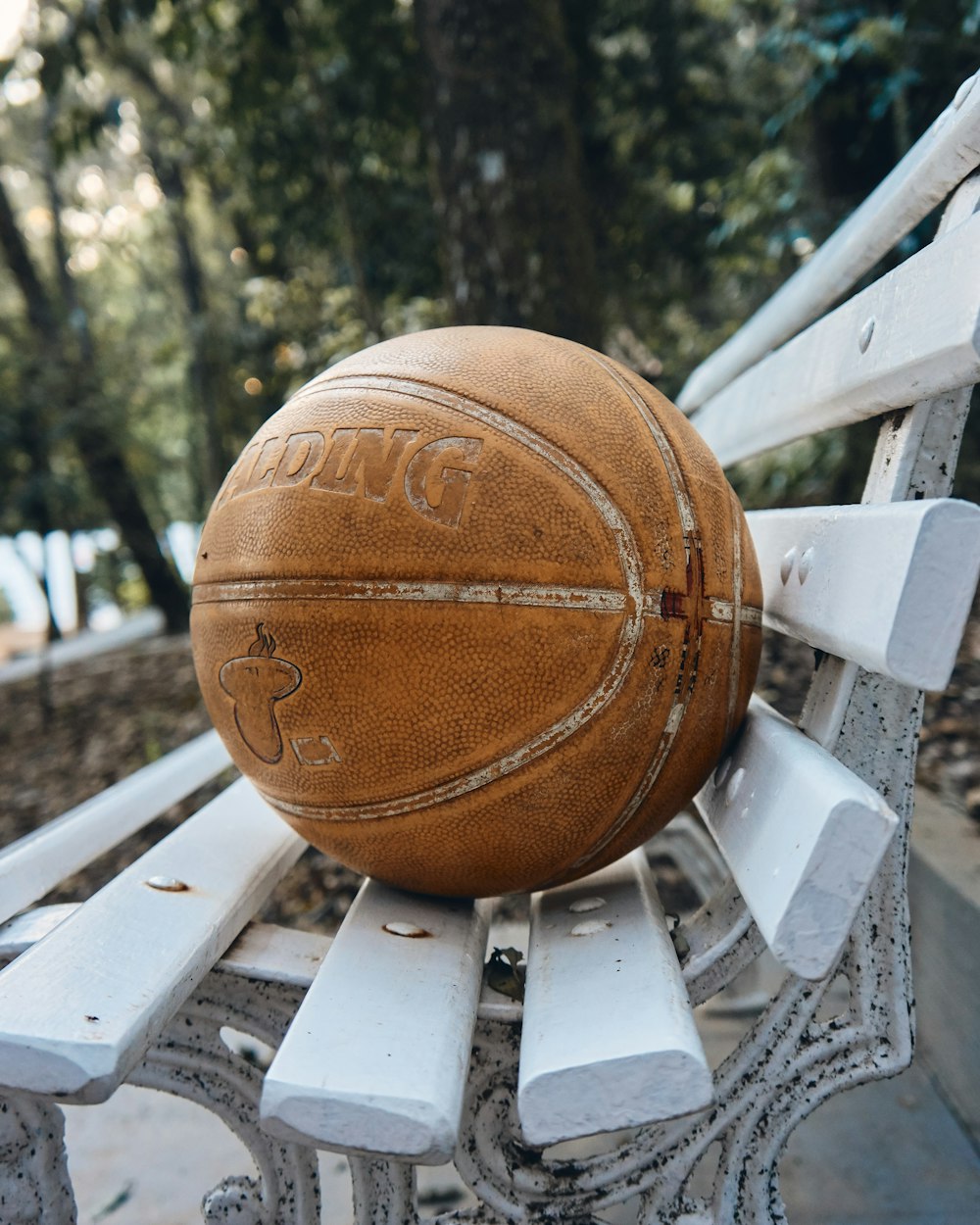 Spalding basketball on bench