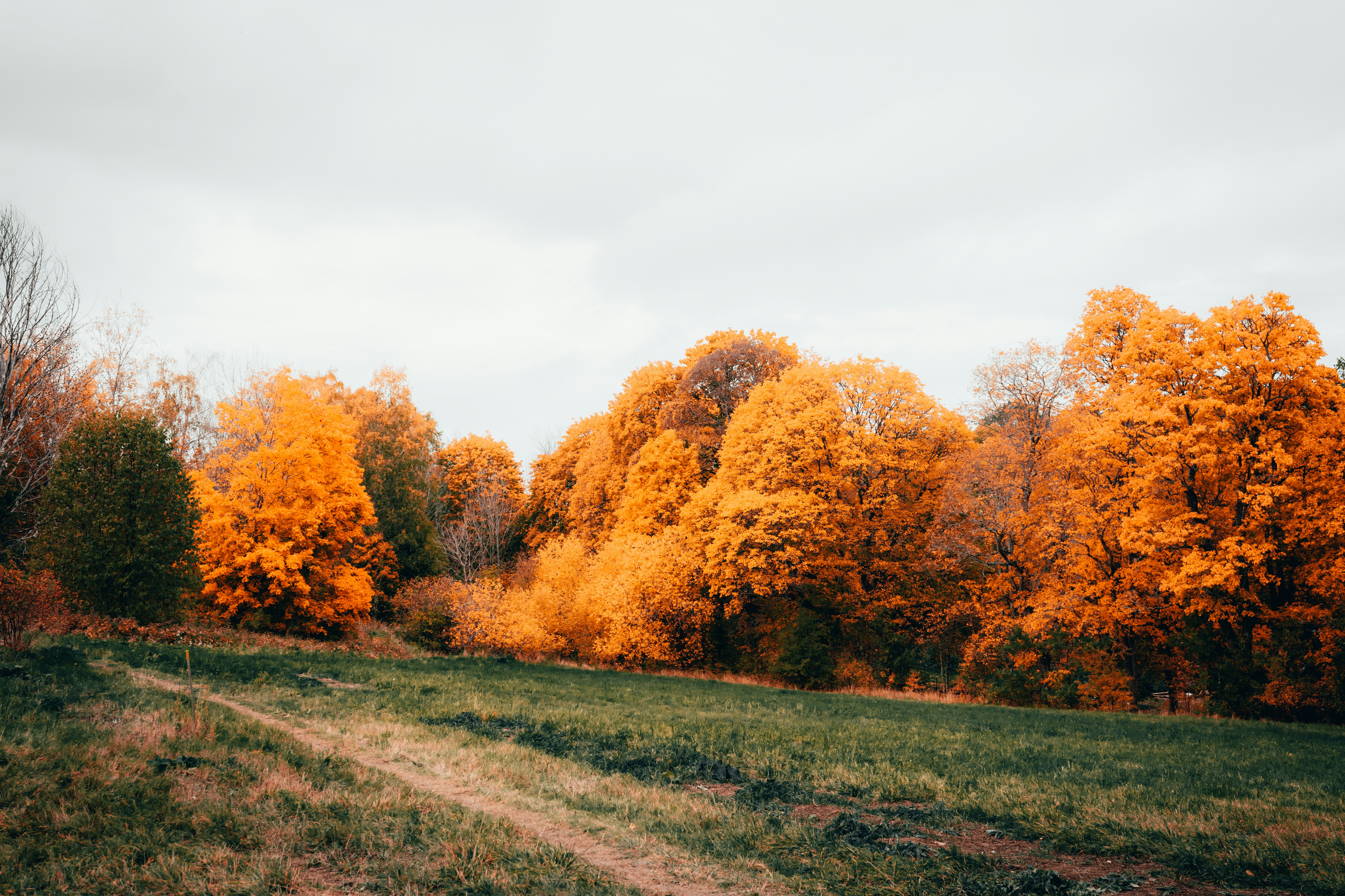 Photo by emilwidlund