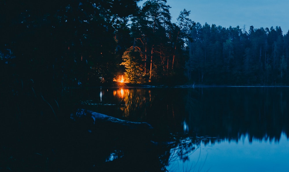 bonfire near lake