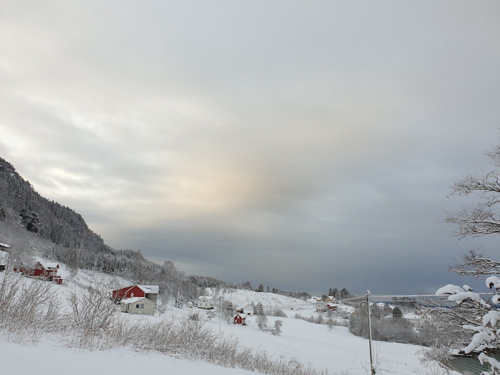 red and white painted house surrounded by icy surface