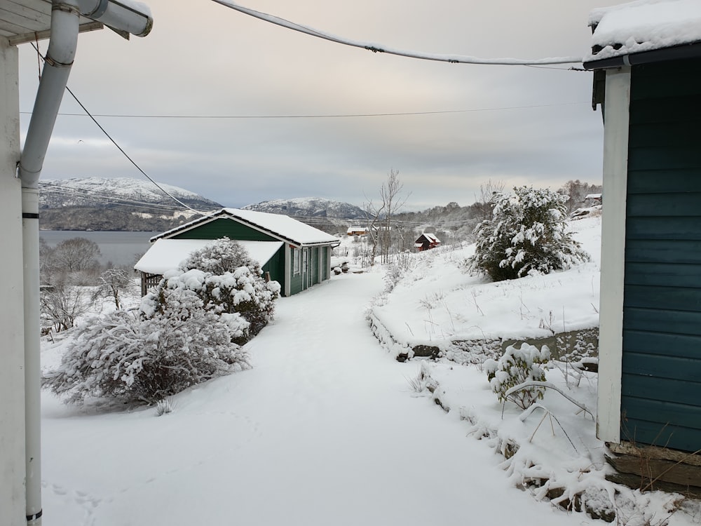 white and blue house under gray sky at daytime