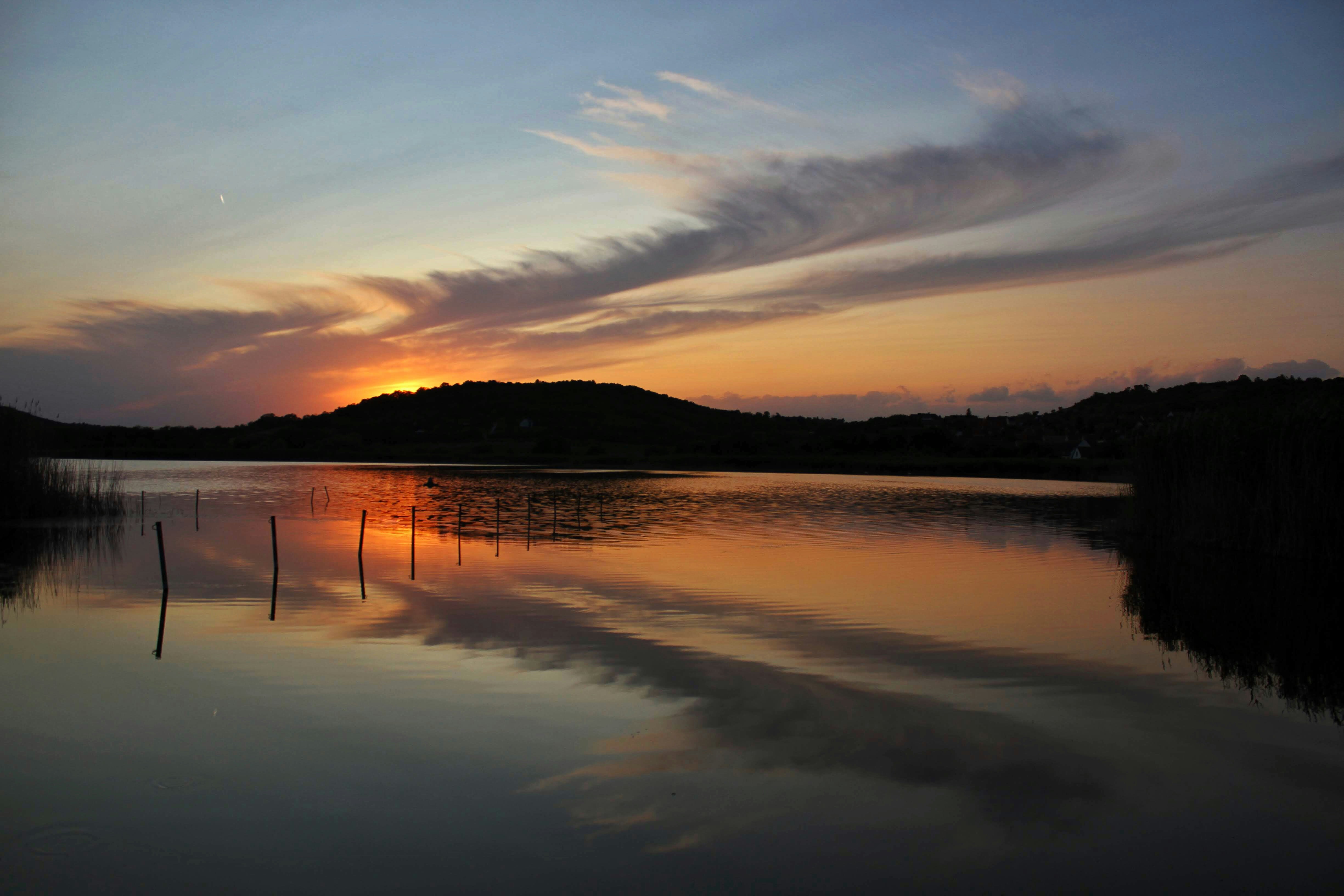 Photo by foldesi_agoston