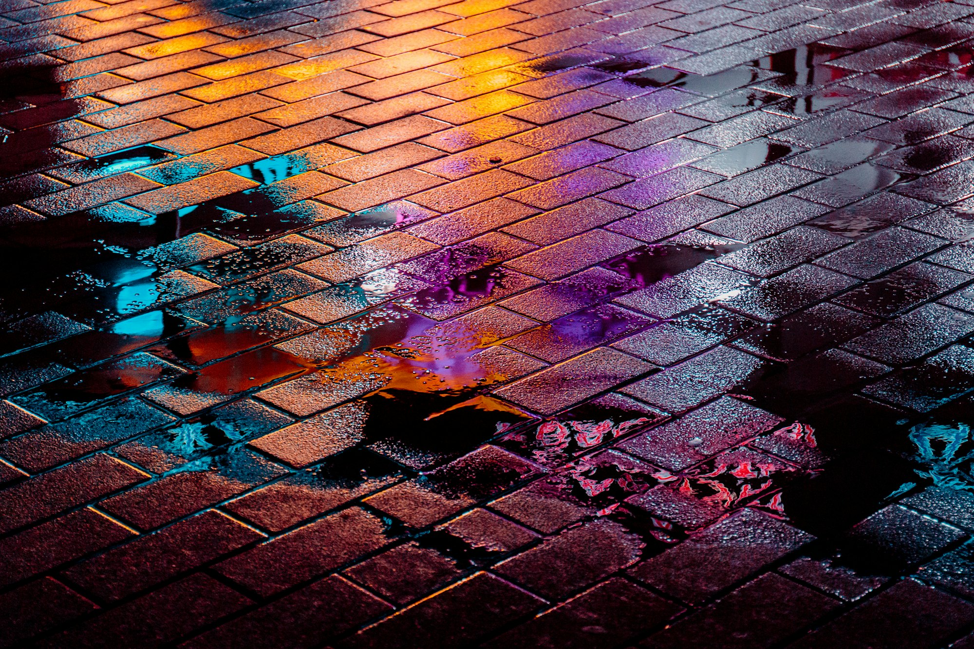 a puddle on bricks