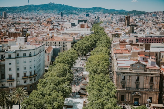 Columbus Monument, Barcelona things to do in Carrer Ildefons Cerdà