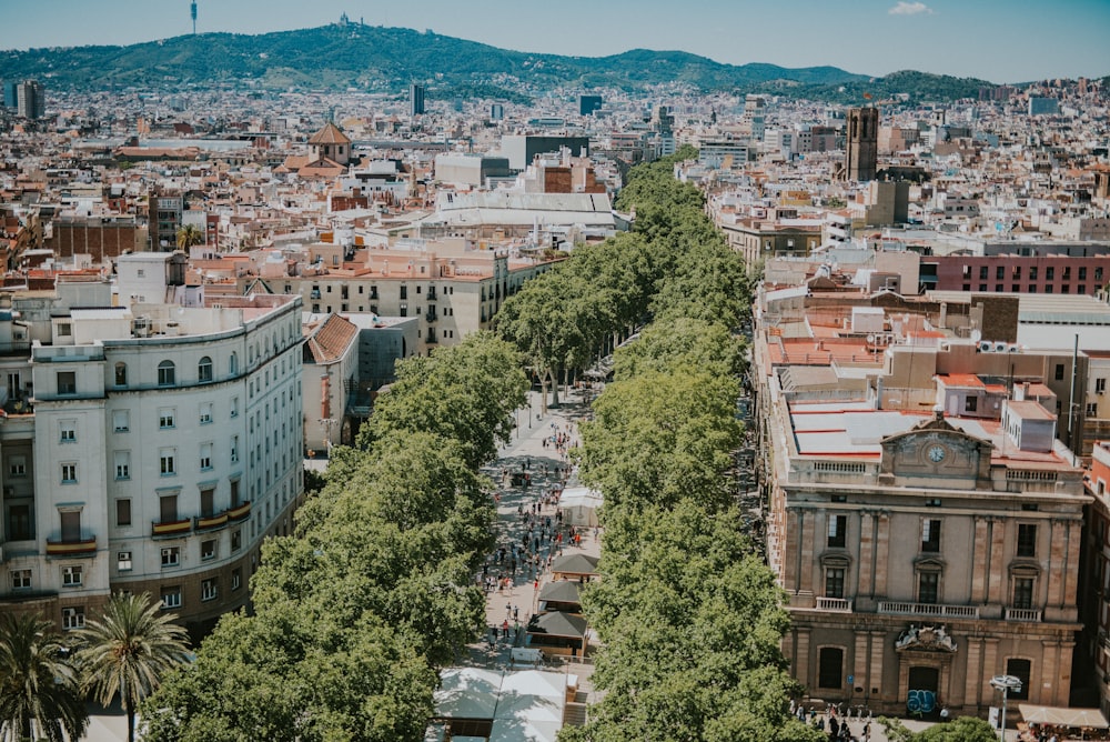 aerial view of town buildings and trees