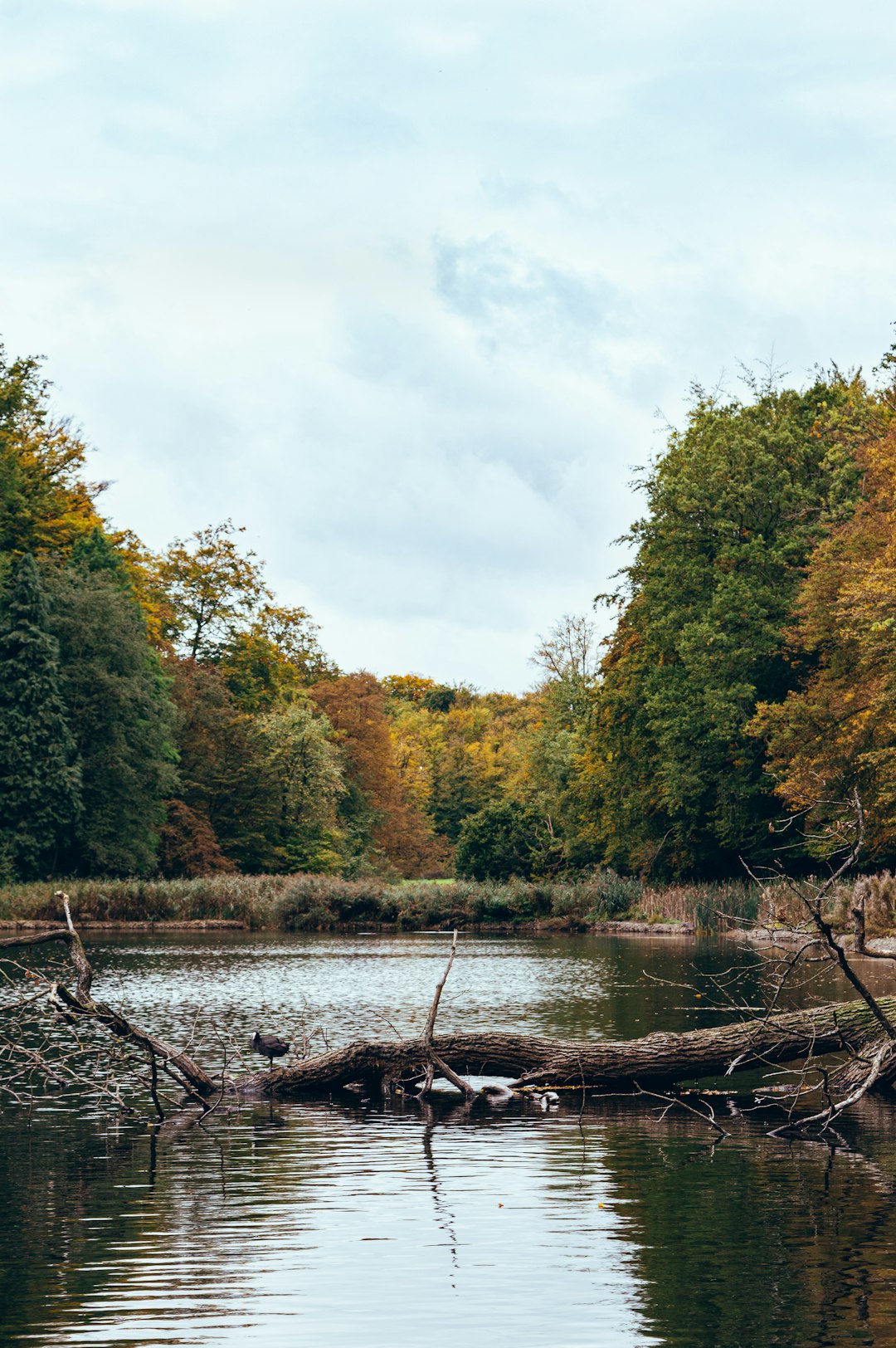 River photo spot Forêt de Soignes Ghent