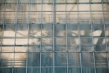 A large grid of glass panels with a slightly worn and translucent appearance, reflecting abstract shapes and shadows. Faint silhouettes of trees or plants appear behind the glass.