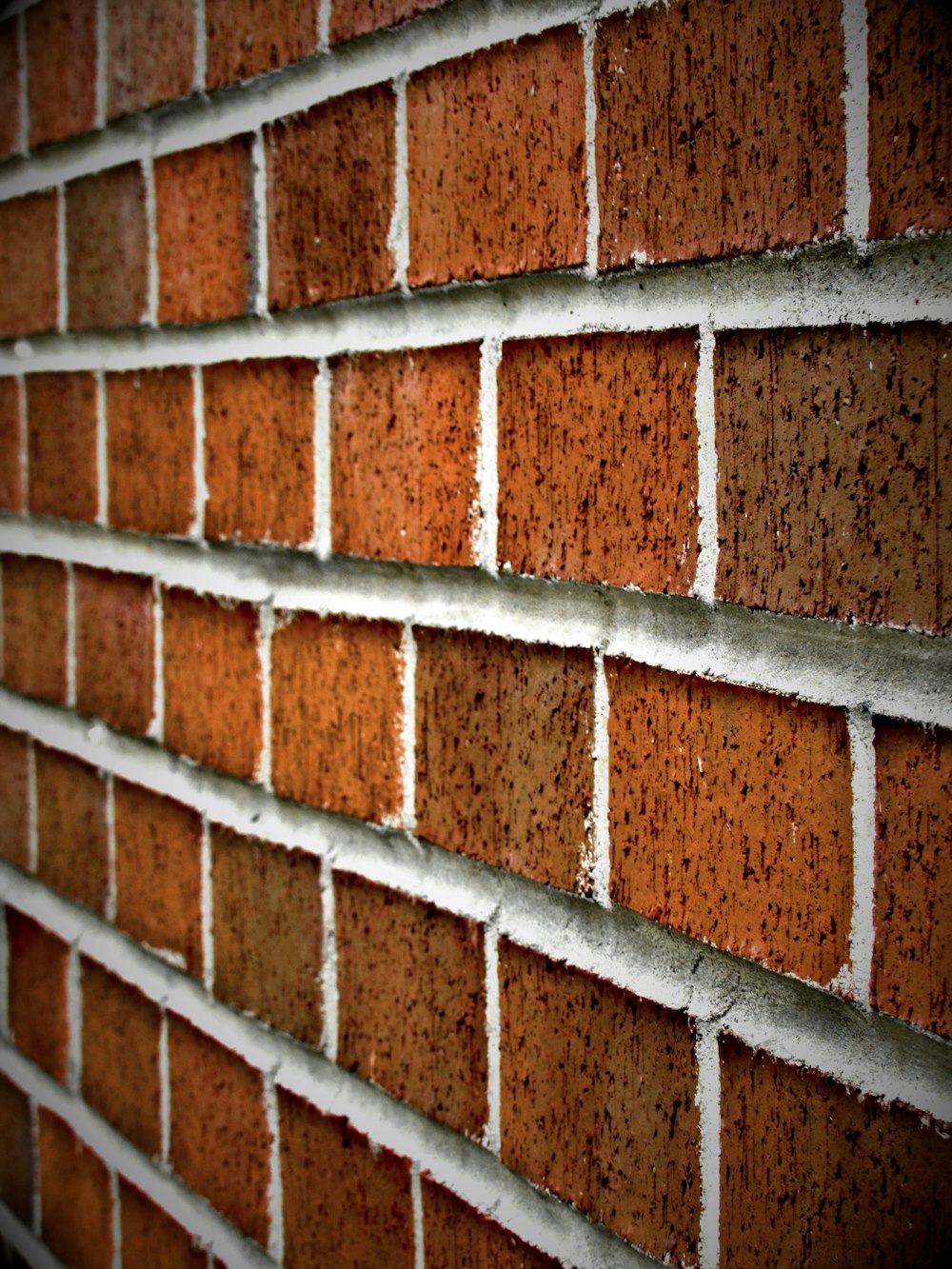 brown concrete wall close-up photography