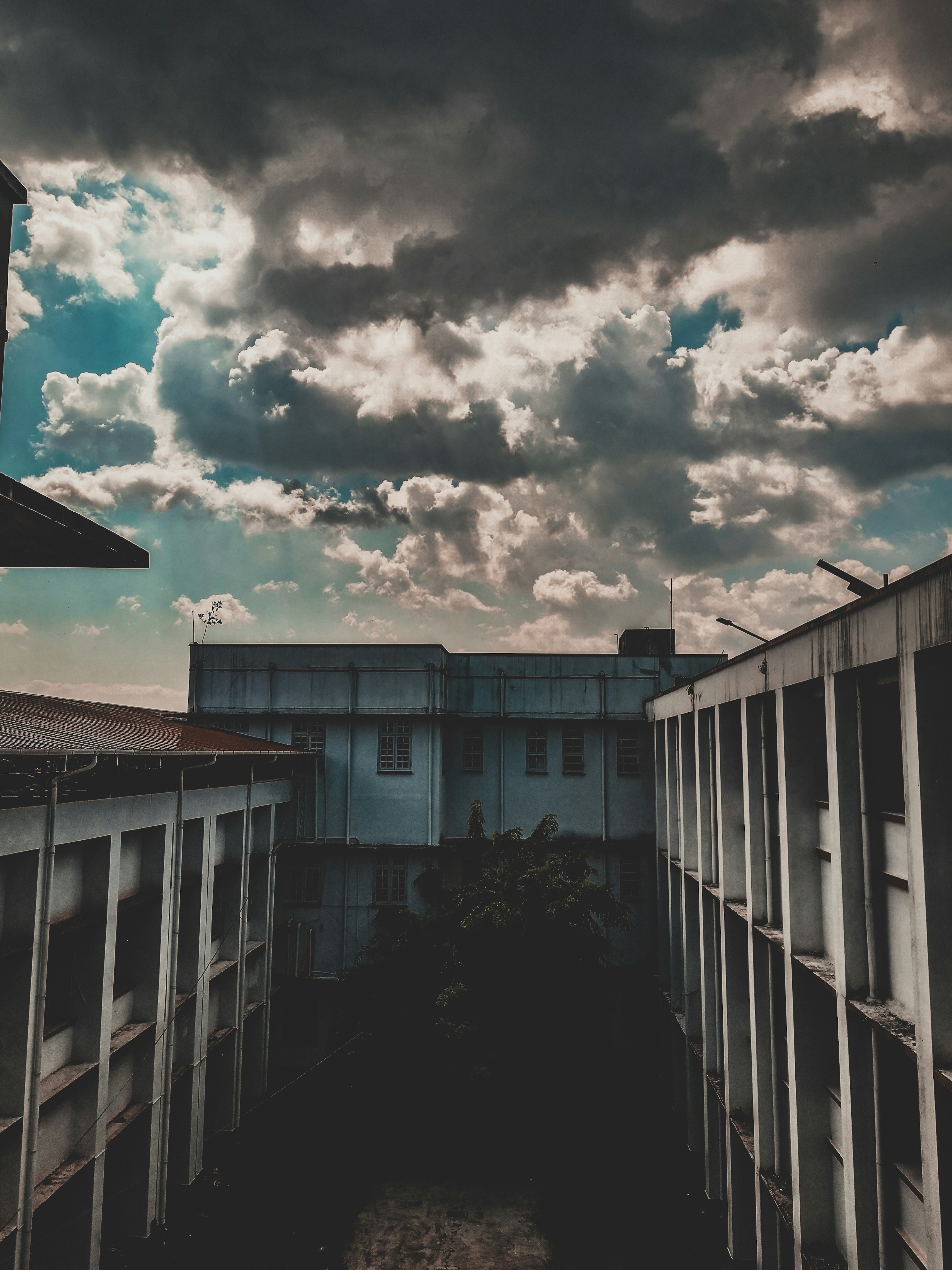 Photo by i_arvin