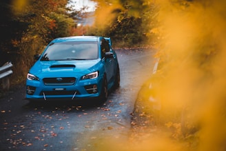 Sporty coupe driving along a scenic road with autumn trees in the background