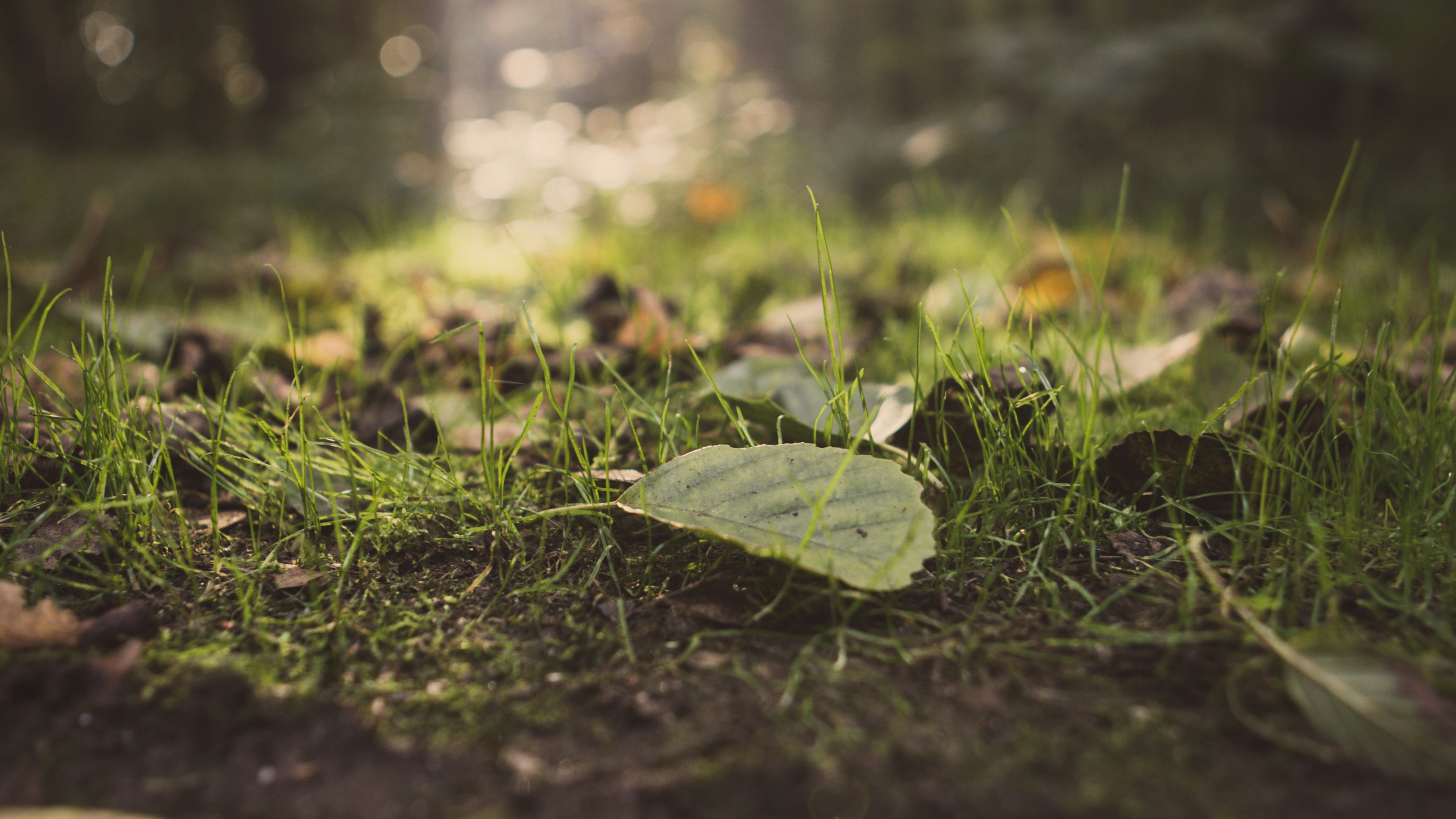 Photo by eesofuffzich