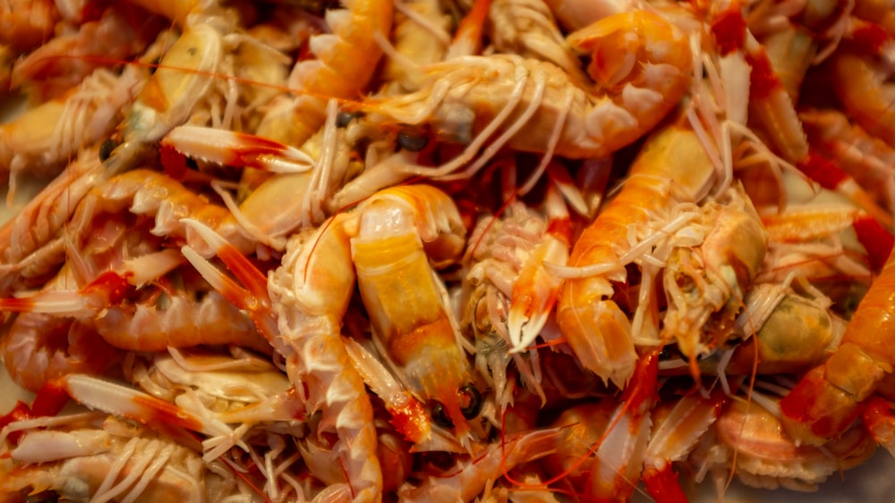 bunch of shrimps