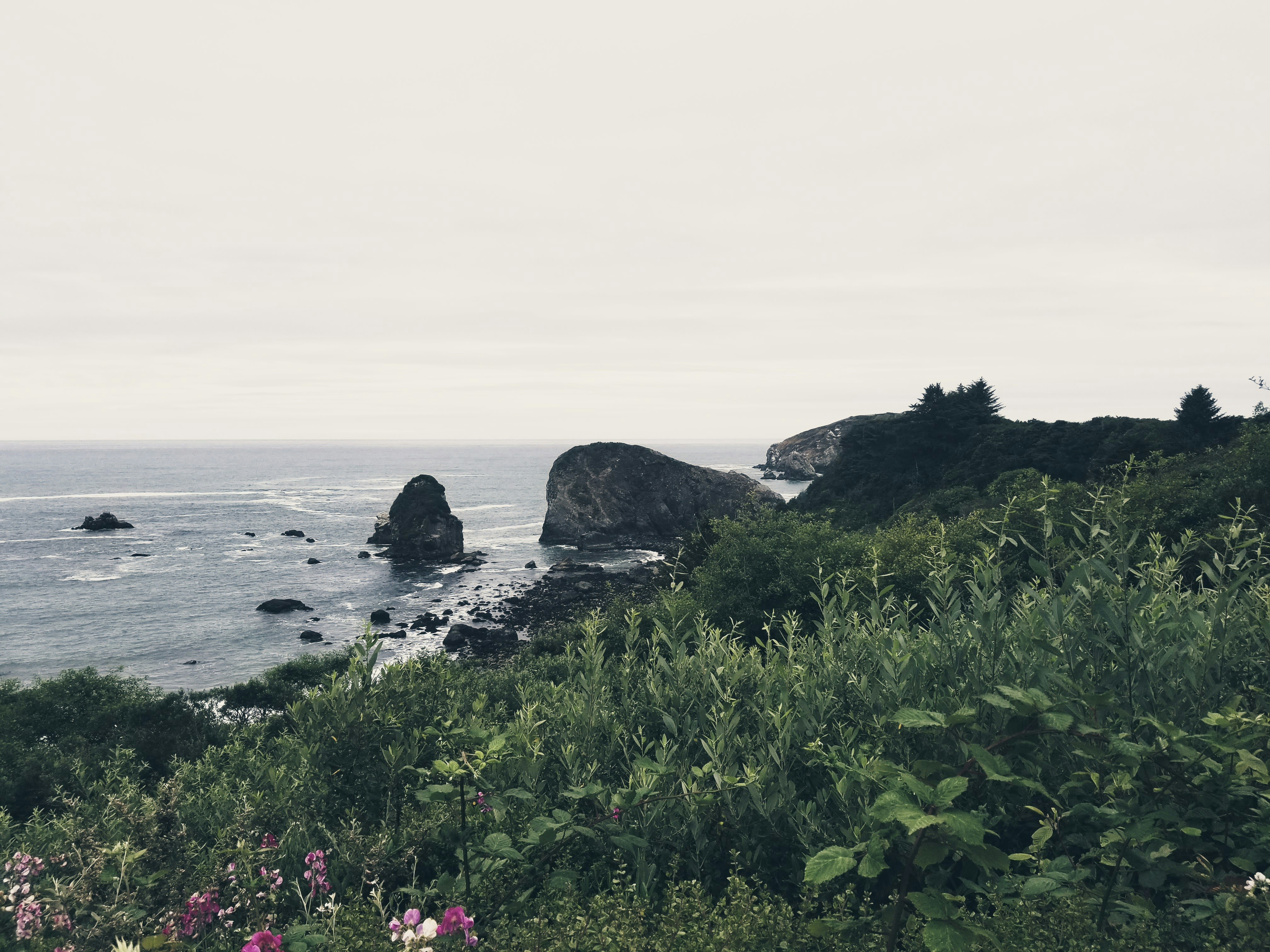 Photo by mrmanz