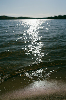 Sunlight sparkling on the lake surface as guests relax and enjoy their tasting experience.