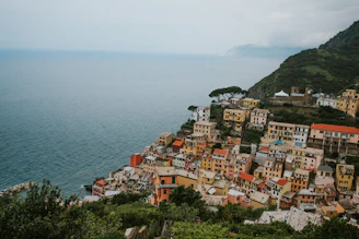 aerial photography of houses near body of water