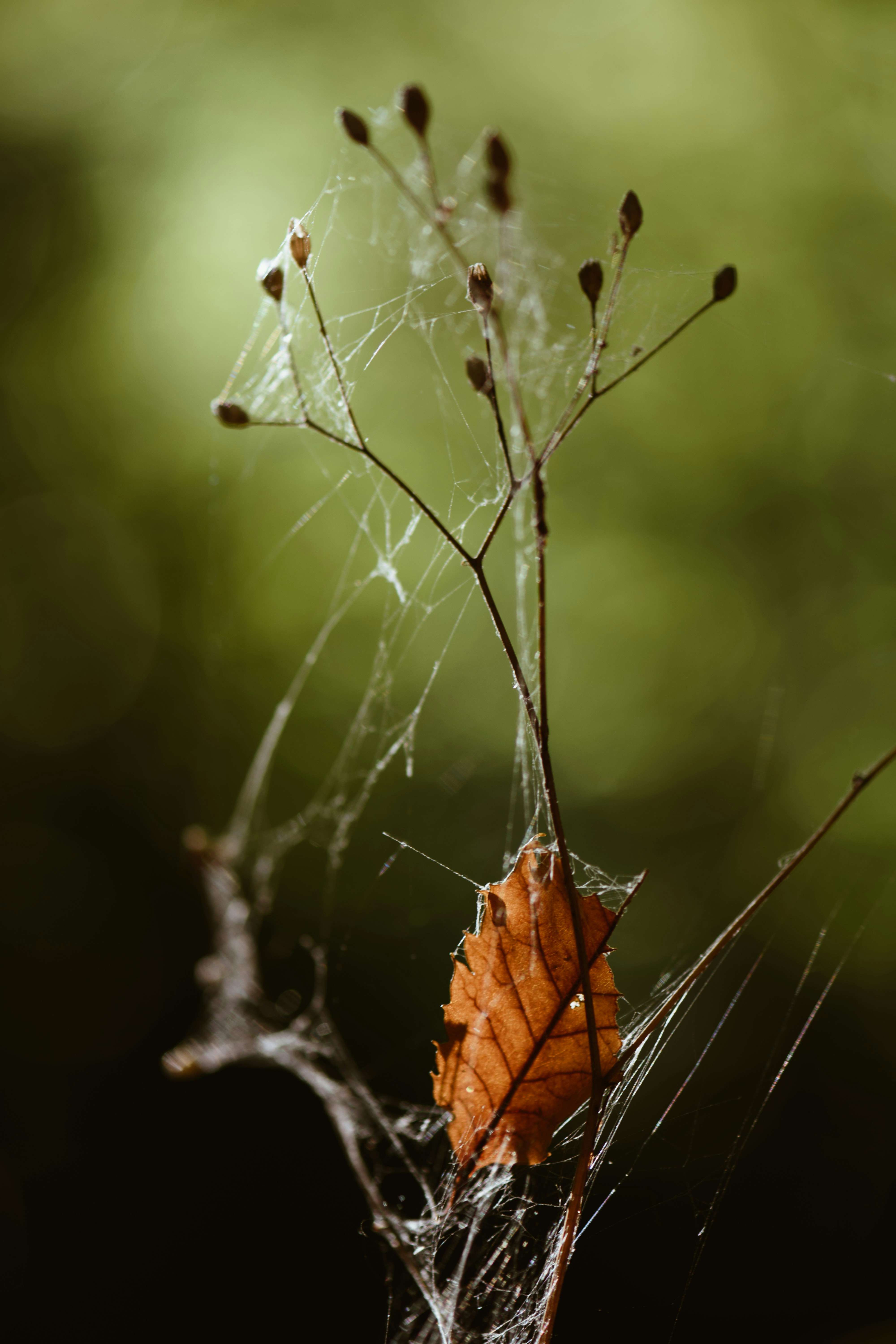 Photo by piensaenpixel