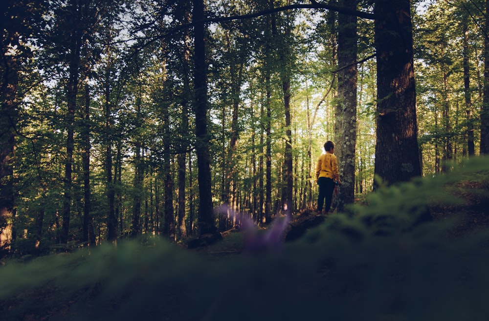 man standing near pine trees