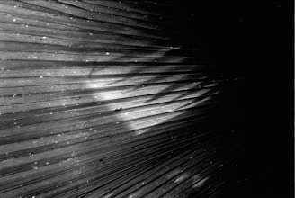 A close-up view of an abstract pattern resembling radial lines or beams emanating from a central point. The image is in black and white with various shades of gray. Small white speckles are scattered across the lines, adding a texture that resembles dust or stars.