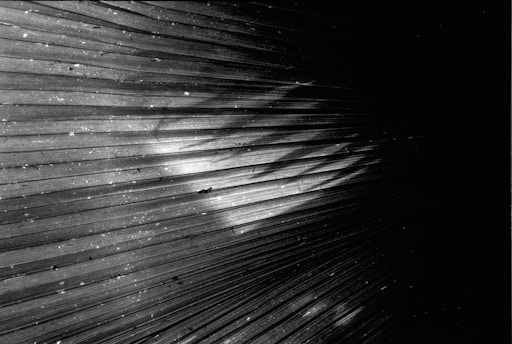 A close-up view of an abstract pattern resembling radial lines or beams emanating from a central point. The image is in black and white with various shades of gray. Small white speckles are scattered across the lines, adding a texture that resembles dust or stars.