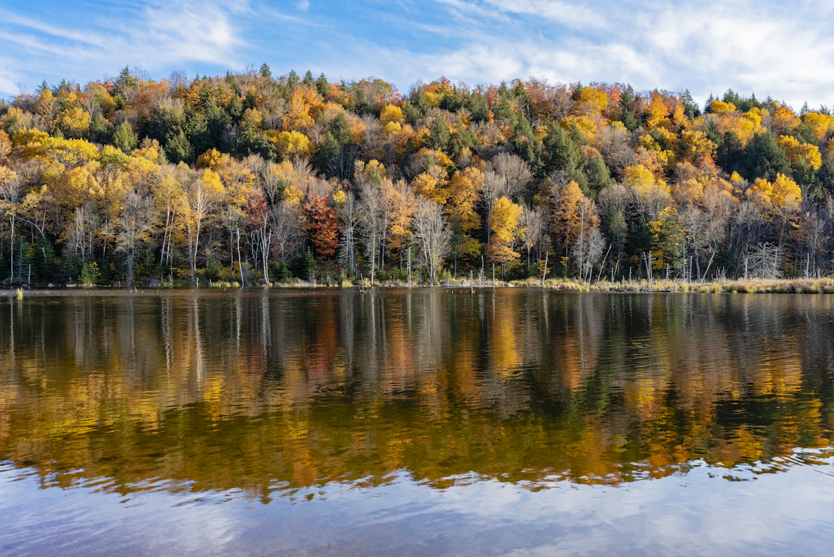 Arbres d'automne au bord d'un lac à Wentworth, dans les Laurentides