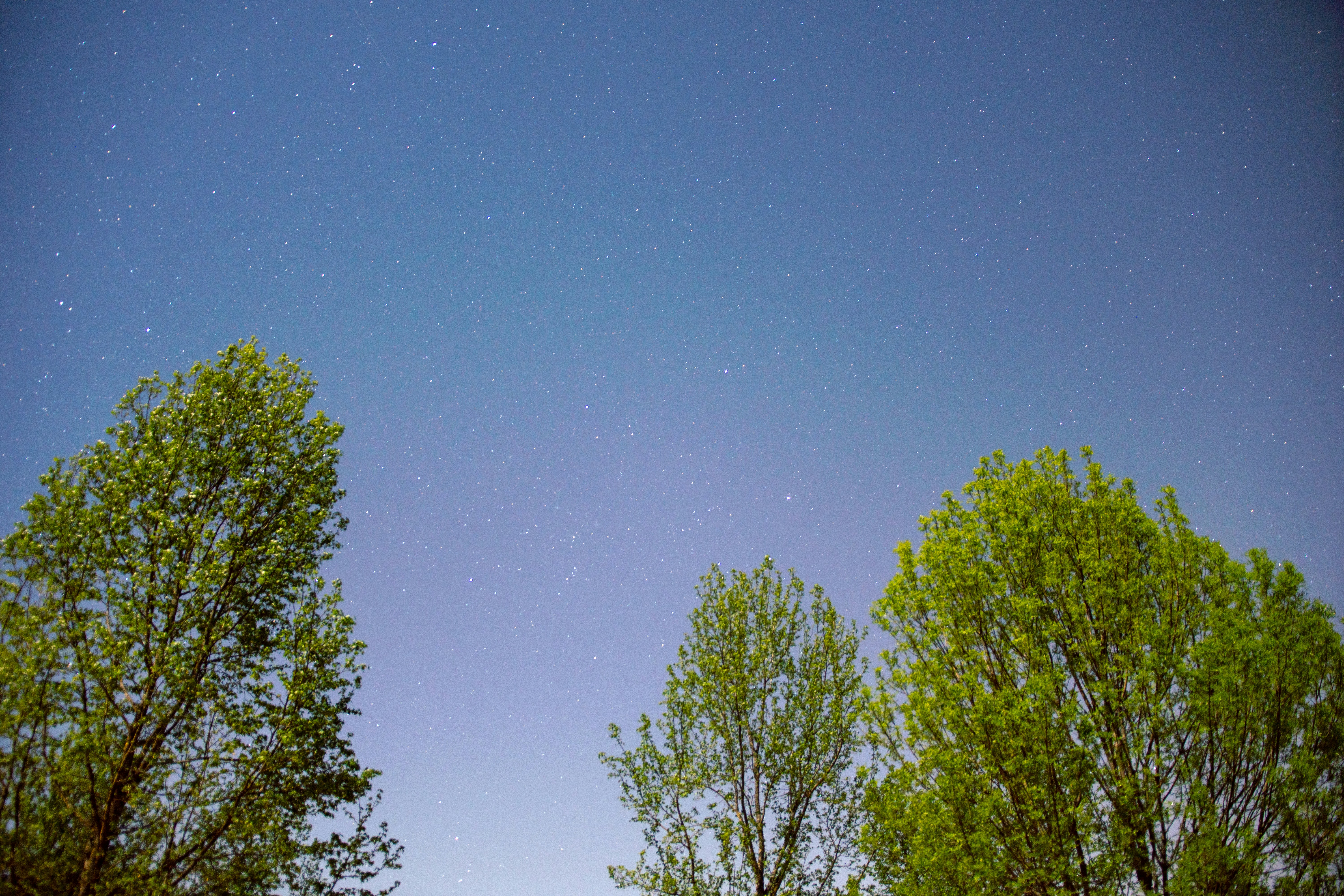 Photo by patrickcampanale