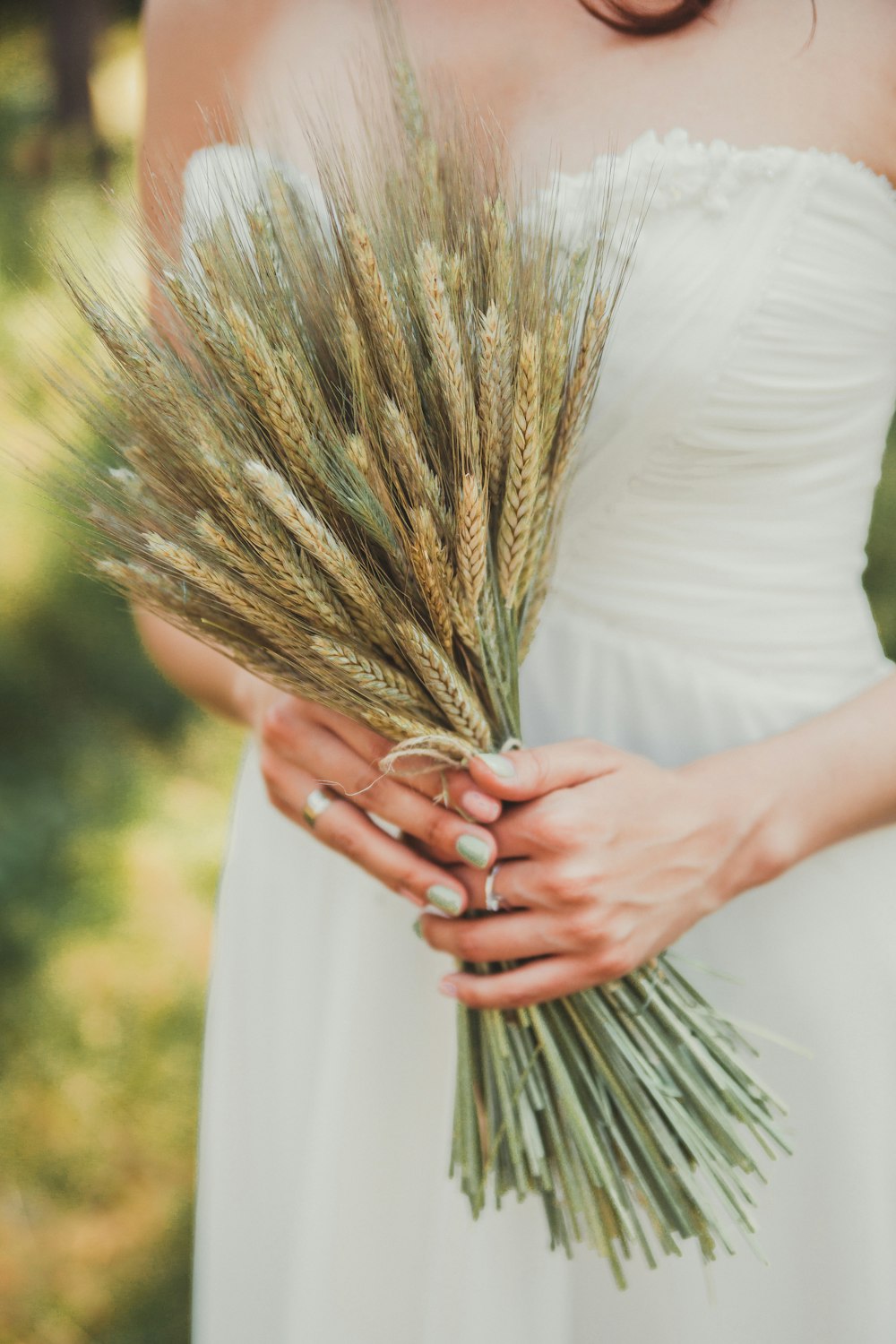 shallow focus photo of person holding green plants