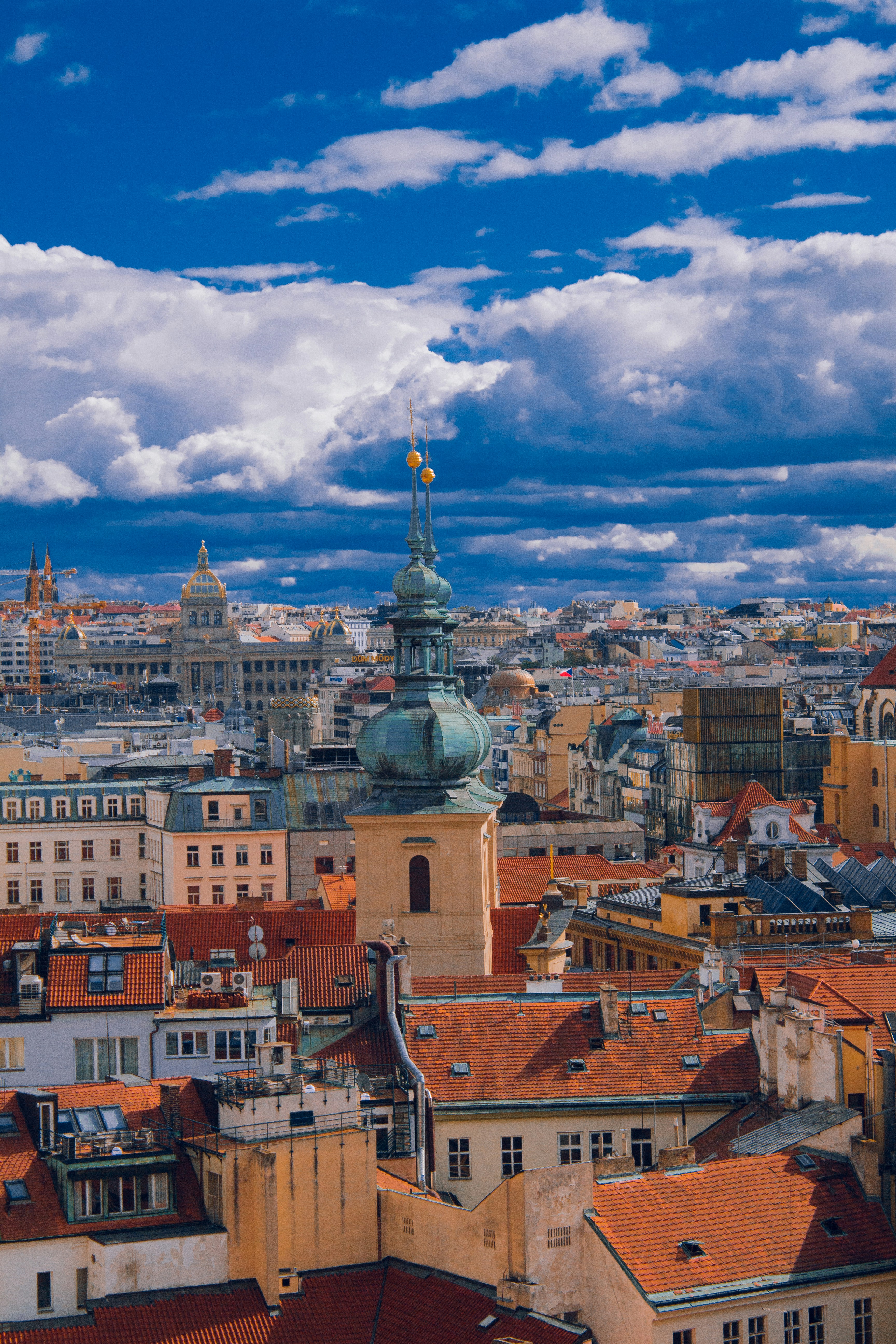 Photo by dmotionmedia