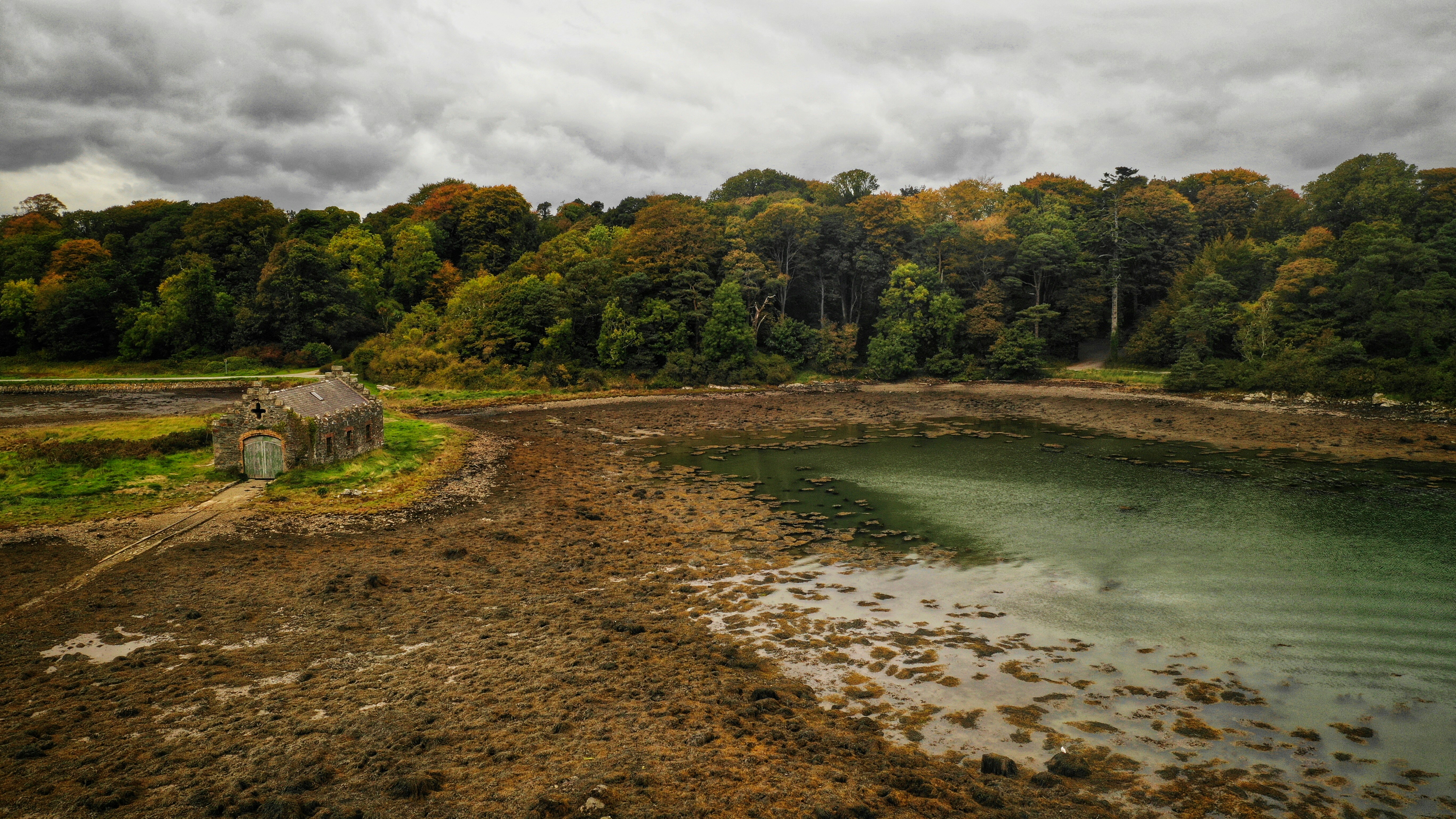 body of water and green leafed trees, Downpatrick, Northern-Ireland
