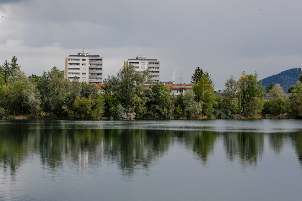 green trees near body of water