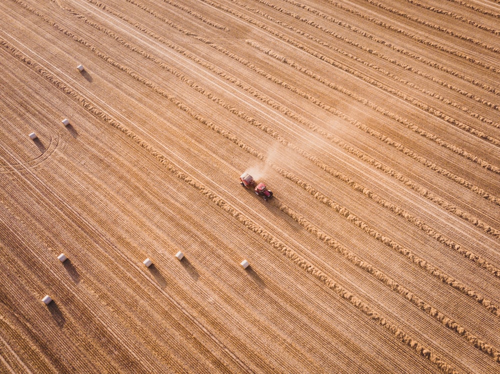 Vehículo en el desierto