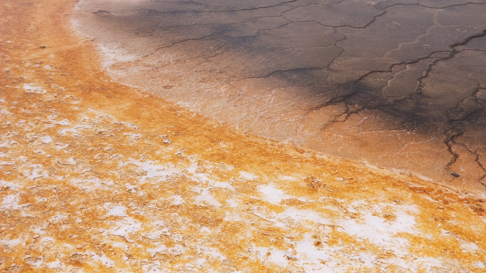 macro photography of orange pavement