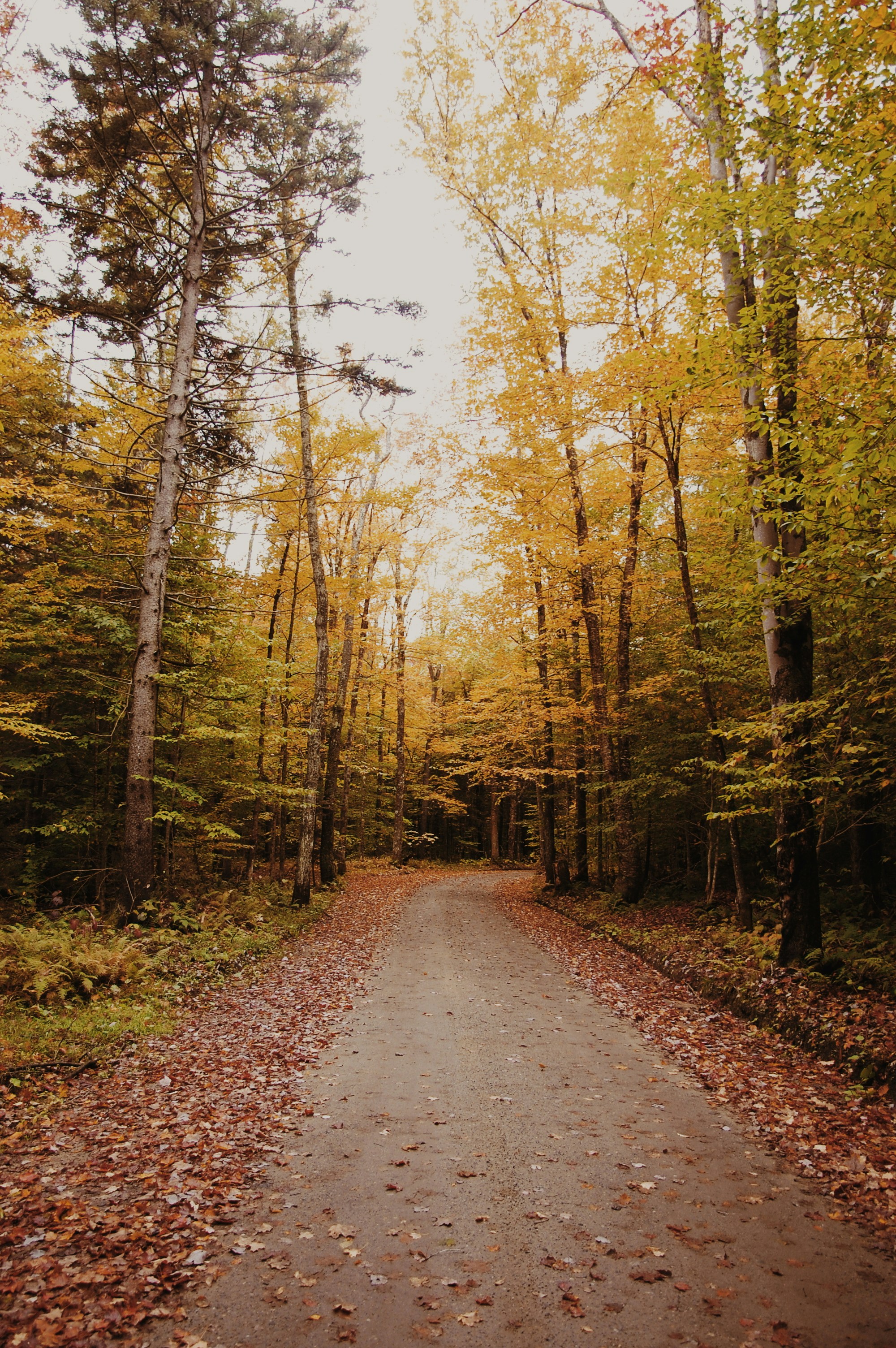 empty road at daytime