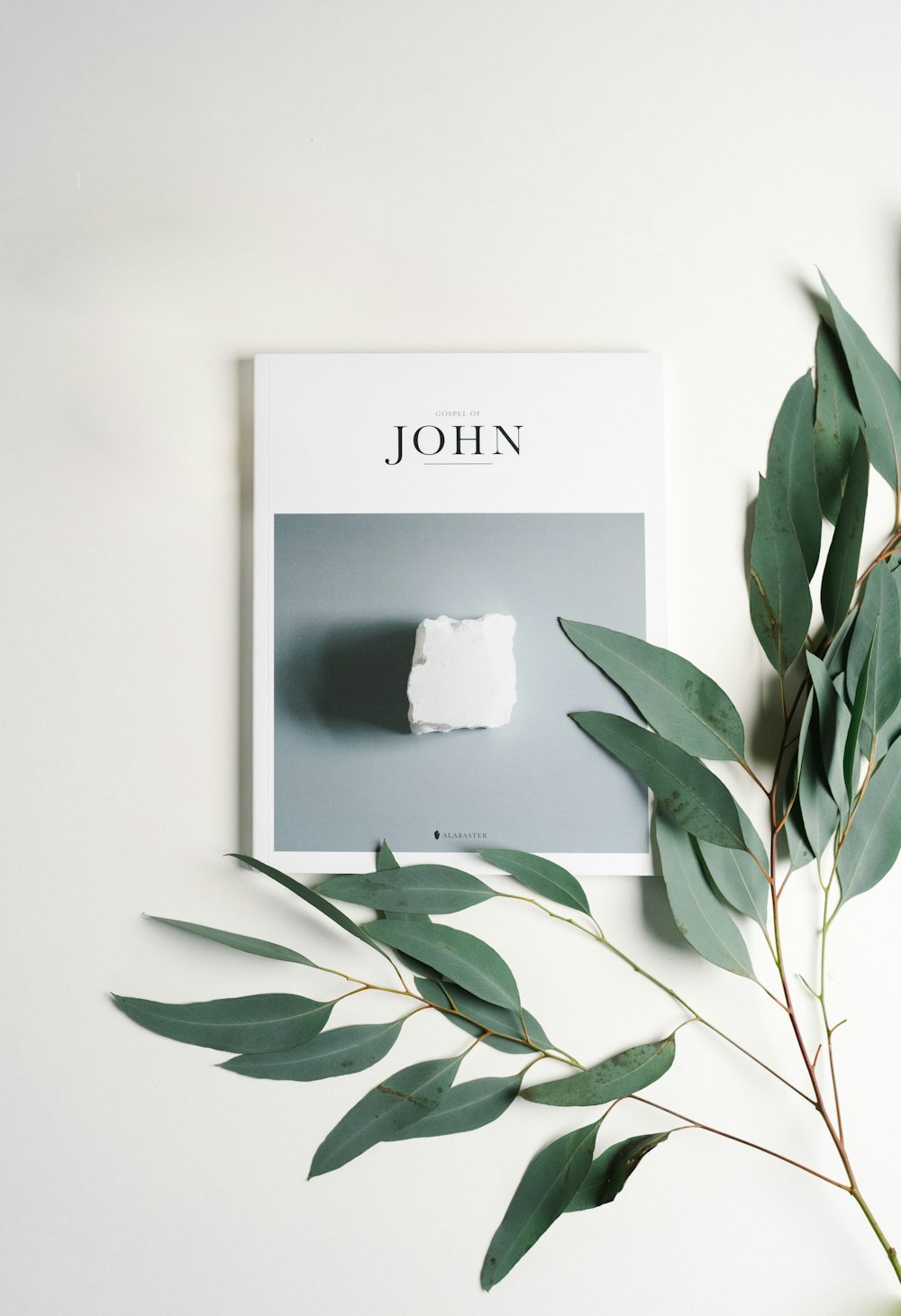 John-Karte und grünblättrige Pflanze