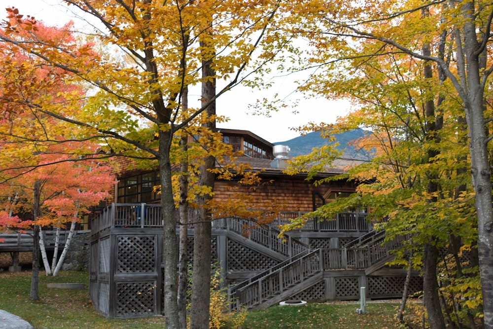 trees beside house at daytime