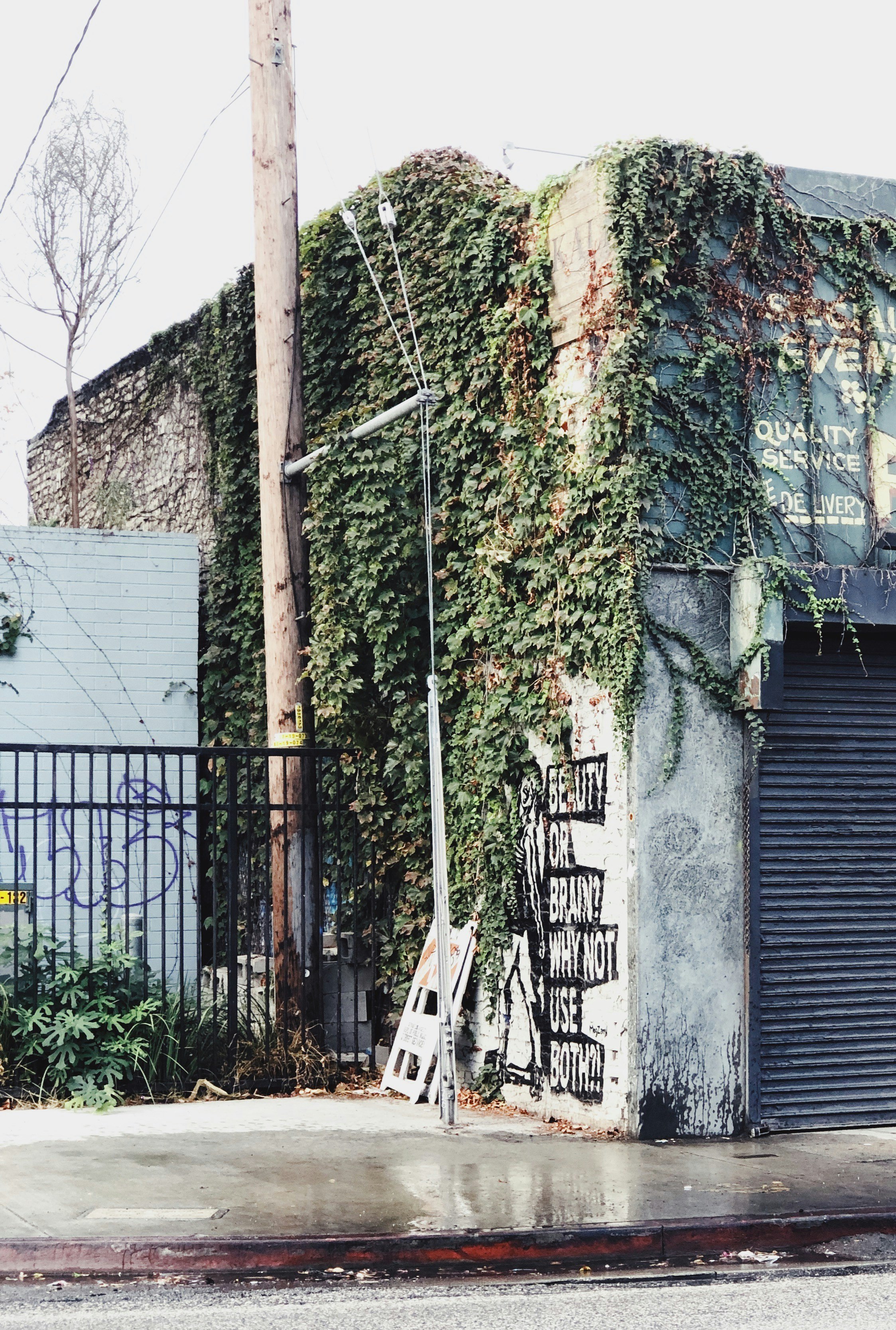 Photo by brandialxndra