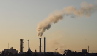Several industrial chimneys emit thick smoke into the sky, silhouetted against a pale and hazy background. The skyline includes buildings and structures, with sparse vegetation in the foreground.