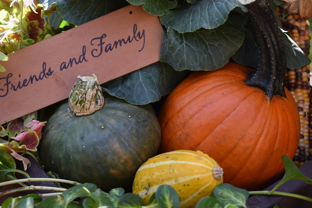 pumpkins with Friends and Family signages