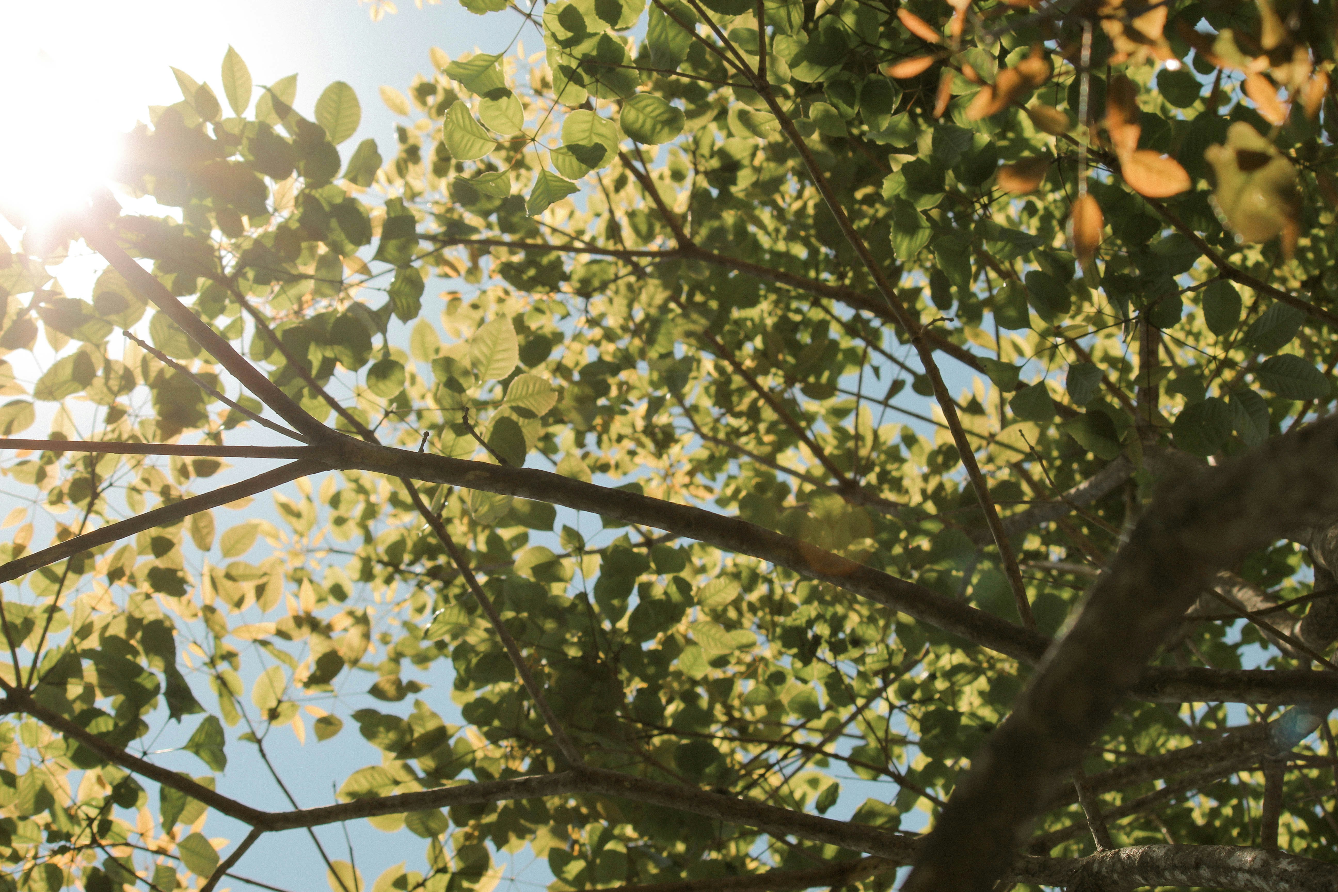 Photo by amandakariella