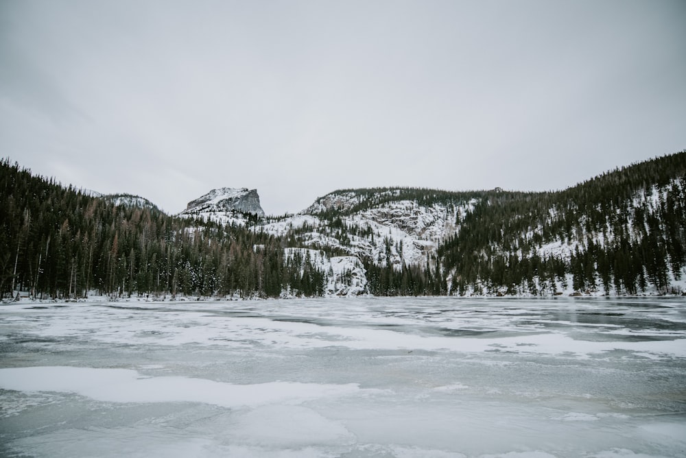 ice covered body of water surrounded with trees during daytime