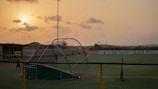 Young baseball player catching a fly ball during practice in a sunlit field