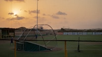 Close-up of a baseball flying toward the net inside the mobile batting cage.